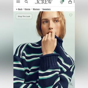 J. Crew roll neck sweater